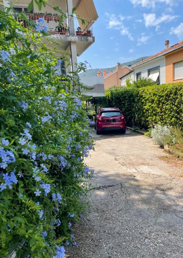 Apartment Garden Kotor Bagian luar foto