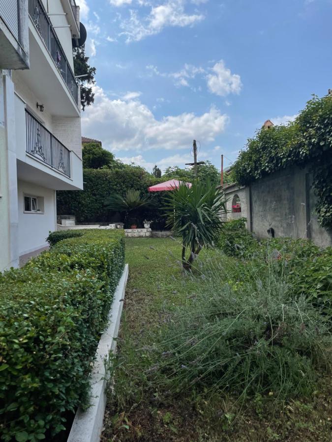 Apartment Garden Kotor Bagian luar foto