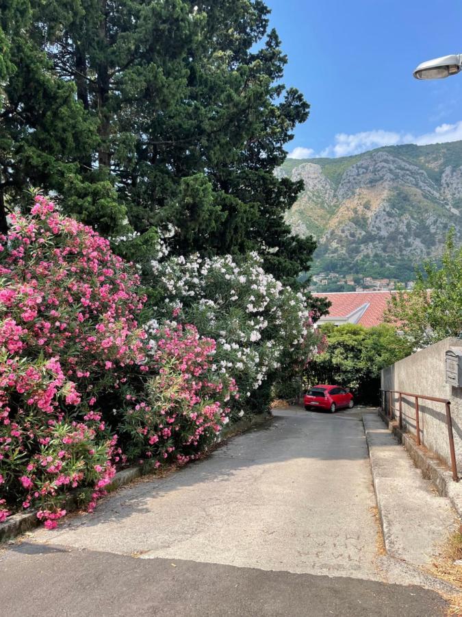Apartment Garden Kotor Bagian luar foto