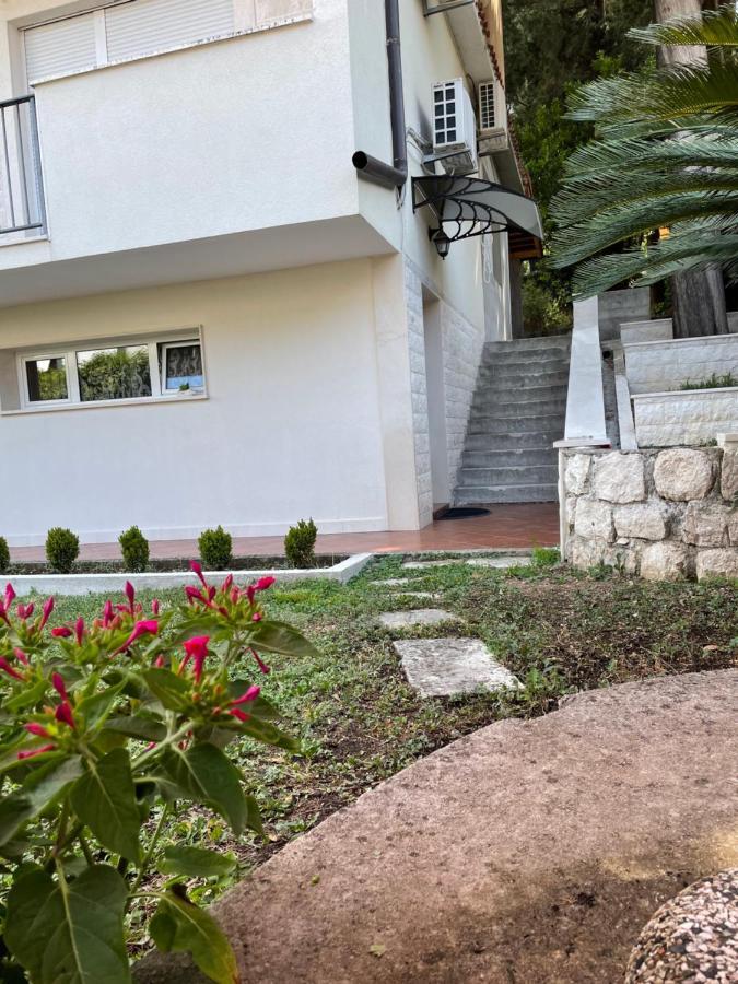 Apartment Garden Kotor Bagian luar foto