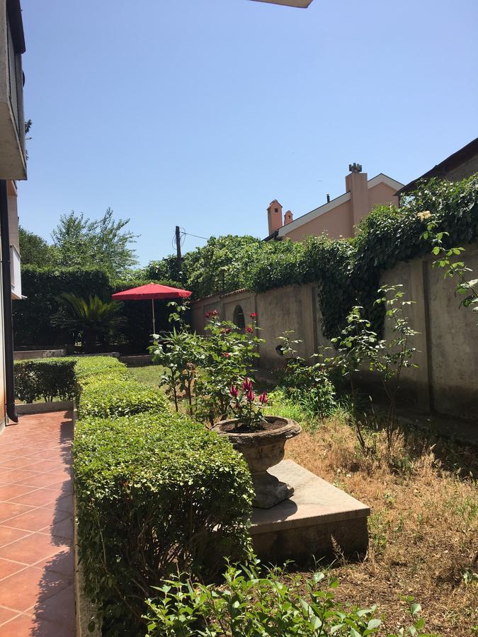 Apartment Garden Kotor Bagian luar foto